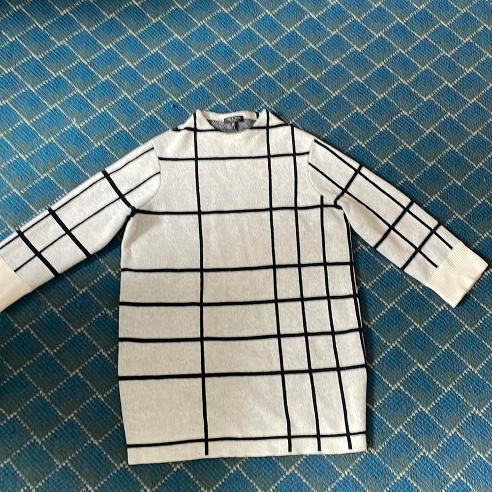 Rag and Bone tunic/mini dress xxs. Oatmeal w/ black windowpane. Smoke/pet free.